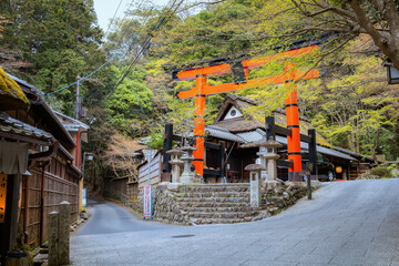 Wall Mural -  Atago Jinja Shrine  Kyoto, Japan