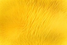 Yellow White Abstract Fluffy Fur Background