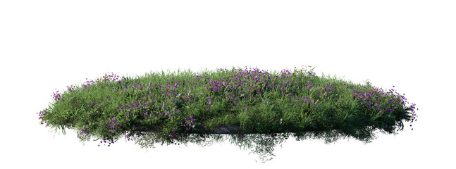 round surface patch covered with flowers, green or dry grass isolated on white background. realistic