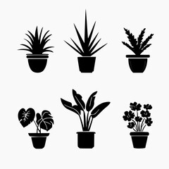 Wall Mural - set of indoor ornamental plant icons. white background