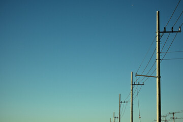 Wall Mural - 電柱と青空