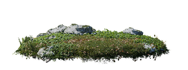 round surface patch covered with flowers, green leaf rock fern or dry grass isolated on white backgr
