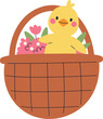 Basket With Chick