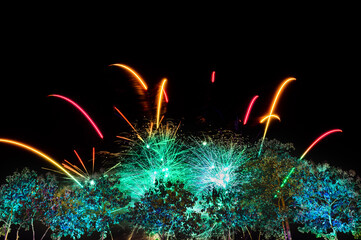 Wall Mural - Trees decorated with beautiful lights and fireworks in the background at Chiang Mai