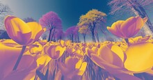 Inverted Colors Image Of A Vast Field Filled With Colorful Flowers Stretches Out Before Tall Trees In The Distance.