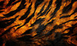 Abstract background, tiger fur pattern texture.