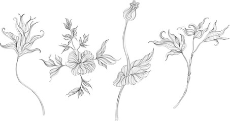 Abstract leaves and flower isolated on white set. Line ink hand drawn illustration collection.