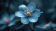 Windflower. A flower with white petals and a large yellow center. Dark blue background.