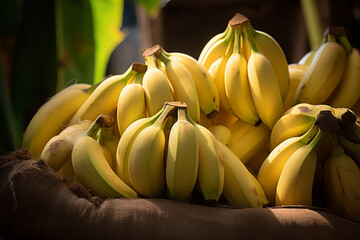 bunch of bananas