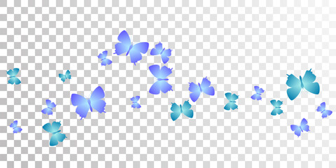 Poster - Fairy blue butterflies flying vector background. Spring ornate insects. Simple butterflies flying girly wallpaper. Gentle wings moths patten. Fragile creatures.