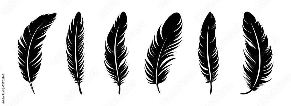 Feather vector illustration, black silhouette on white background ...