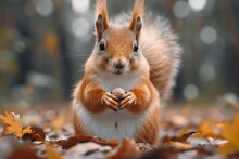 Fall Favorites A Squirrel's Guide To Nut-Cracker Season Generative AI