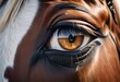 horse head close up