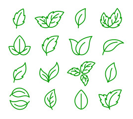 Wall Mural - Green natural linear icons leaves, sprig and branches of plants