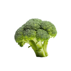 Wall Mural - Broccoli on transparent background