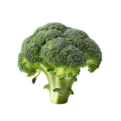 Sticker - Broccoli on transparent background