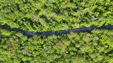 Paved Road Cuts Across Dense Tropical Forest Shrubland In Caribbean, Empty