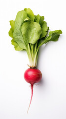 Poster - A radish with green leaves on white background.