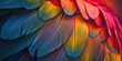Close-up view of vibrant and vivid bird feathers. Perfect for nature enthusiasts and ornithology projects