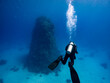 Scuba diver seen form above, behind, Underwater scene with exotic fishes and coral reef of the Red Sea