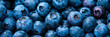 Drops of water on ripe sweet blueberries. Fresh blueberries background with copy space for your text. Vegan and vegetarian concept. Macrotexture of blueberries. Texture of blueberries close-up