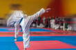 A young martial arts athlete demonstrates a kick. Photo with motion blur effect.