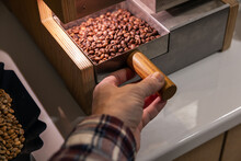 Male Hand Extracting A Portion Of Roasted Arabica Coffee Beans
