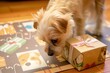 small dog sniffing a wrapped box on a dogthemed mat