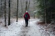 walker with poles on snowy forest pathway