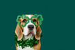 A funny beagle dog in a carnival costume for the Irish holiday of St. Patrick's Day. The dog dressed up in a necklace and glasses with a shamrock on a green isolated background. The concept of humaniz