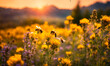 © yanadjan - bees collect honey in a flower meadow honeycomb . Selective focus.