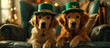 two dogs wearing green shamrock hats on chair ready for St Patrick's day - AI Generated Abstract Art