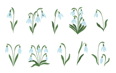 Canvas Print - Hand-drawn illustration of snowdrops