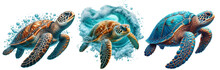 Sea Turtle. Realistic, Artistic, Colored Drawing Of A Sea Turtle On A White Background In A Watercolor Style.