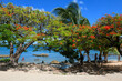© fotoember - The seafront at La Boca near Tirinidad at Cuba