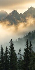 Ethereal fog blankets a breathtaking mountain panorama, with a majestic fir forest in the foreground.