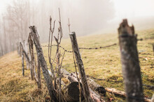 Wooden Fence Posts With Barbwire In The Fog. Munich, Germany