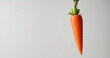 A dangling carrot on a string serves as a humorous metaphor for motivation and incentive in business and life.