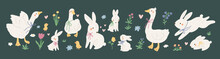 Cute Bunny And Goose Collection With Flowers. Spring Cartoon Rabbits And Ducks. Happy Easter Festive Flat Illustration