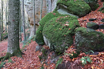 Poster - Felsen im Muellerthal