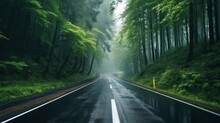 Road In Foggy Forest In Rainy Day In Spring. Beautiful Mountain Curved Roadway, Trees With Green Foliage In Fog And Overcast Sky.