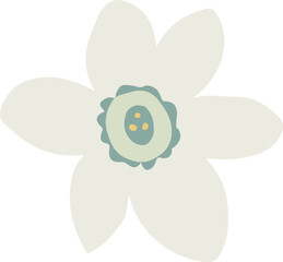 Wall Mural - Hand drawn white and green daffodil flower. Spring floral illustration, isolated natural element. Artistic vector for Easter, birthday greeting card, web. Springtime plant clipart.