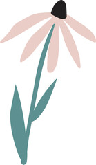 Wall Mural - Hand drawn pink colored echinacea flower isolated on background. Vector illustration. Floral herbal, healthy garden or meadow plant clipart for cards, web.