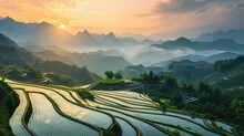 Rice Fields In The Mountains At Sunset