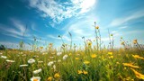 Fototapeta  - Sunny meadow with wildflowers under clear blue sky. serene nature scene for calm background or wallpaper. vibrant summer landscape. AI
