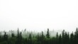 © Wirestock - AI generated illustration of a misty coniferous forest fading into the foggy background