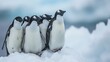 A group of penguins huddled together on a pristine Antarctic ice sheet