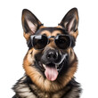Close-up Happy Pooch sporting Sunglasses: Gorgeous German Shepherd All Set for Summer Beach, Isolated on Transparent Background, PNG