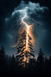 Blitzeinschlag in Baum