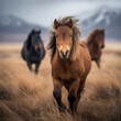 Wild Horses Galloping in a Picturesque Field